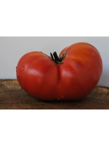 kartofelnyy-malinovyy-2-142968