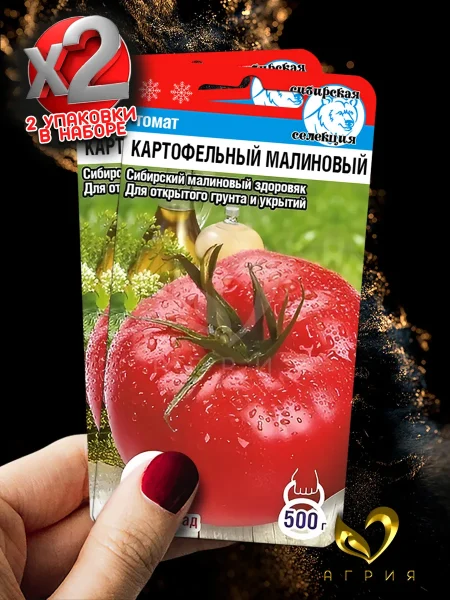 kartofelnyy-malinovyy-3-142968