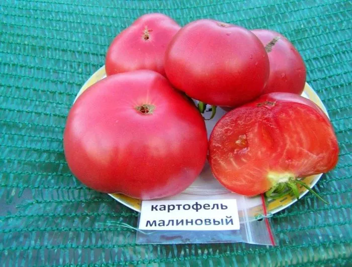 kartofelnyy-malinovyy-main-142968
