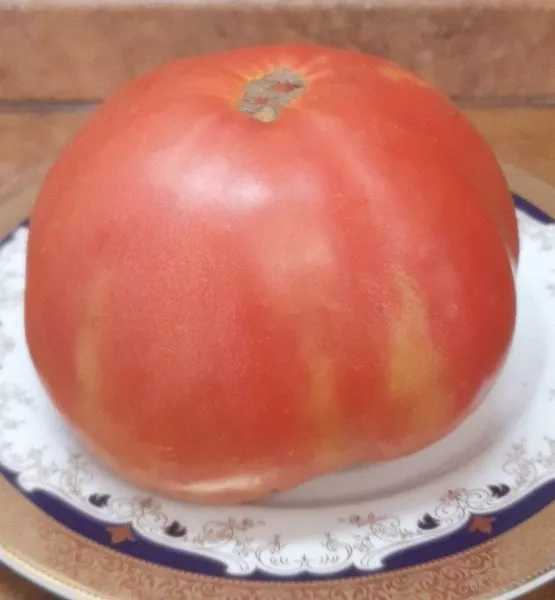 kazanskiy-mestnyy-2-143039