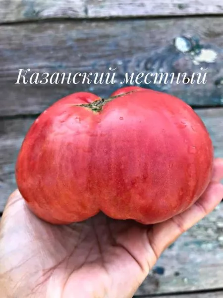 kazanskiy-mestnyy-3-143039