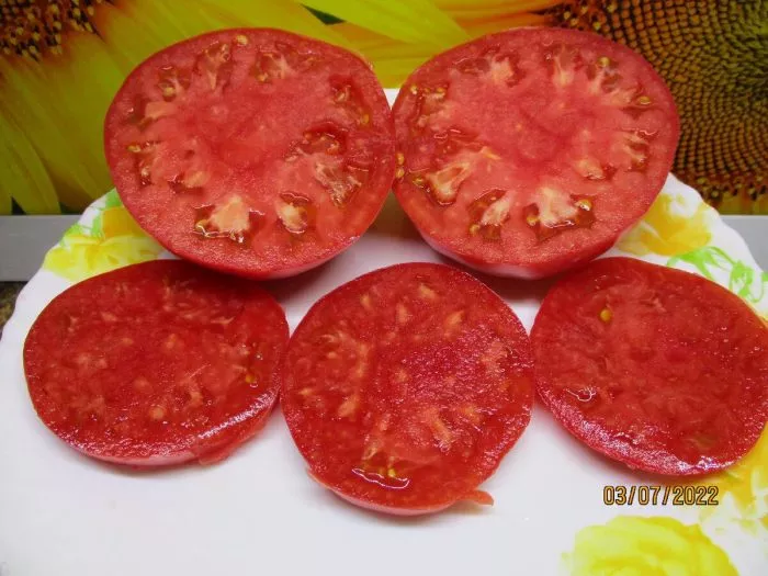 kazanskiy-mestnyy-4-143039