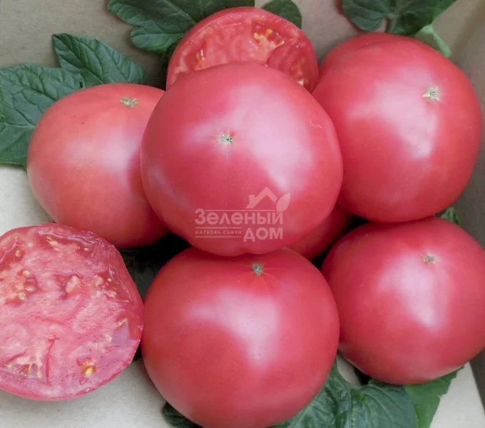 kitayskiy-rozovyy-1-154204