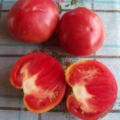 kitayskiy-rozovyy-5-154204