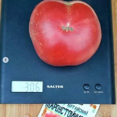 kitayskiy-zharoustoychivyy-6-150892