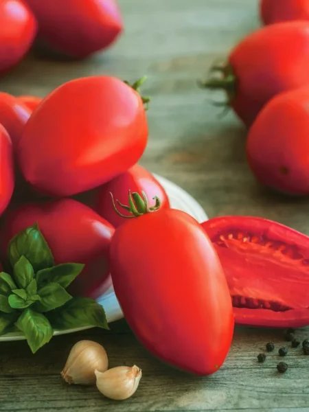 klavdiya-main-159195