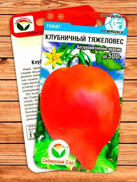 klubnichnyy-tyazheloves-3-162753