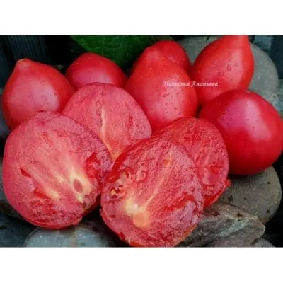 klubnichnyy-tyazheloves-6-162753