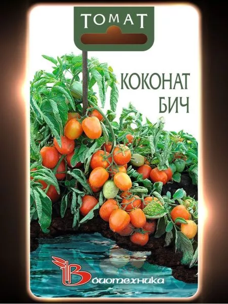 kokonat-bich-2-141108