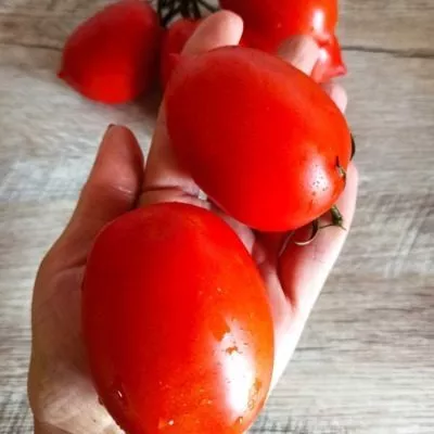 kokonat-bich-6-141108