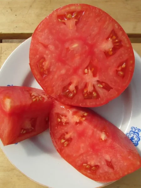 kolhoznitsa-6-148761