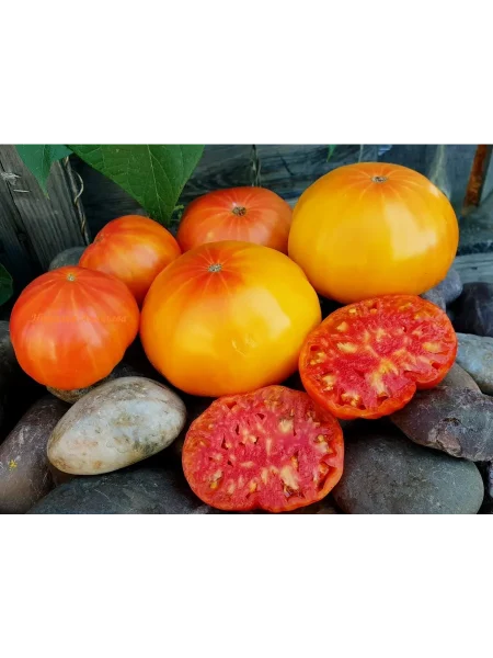 korol-ananas-3-142779