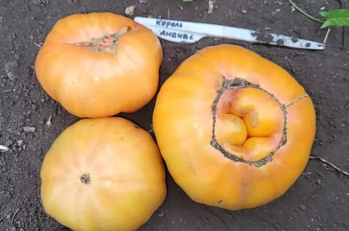 korol-ananas-6-142779