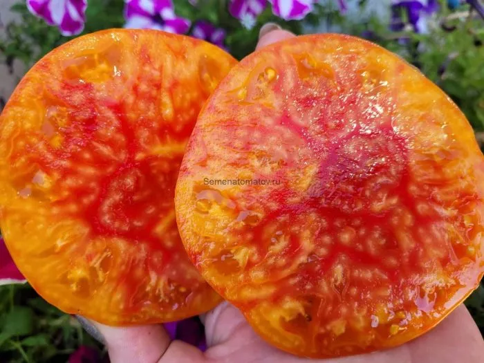 korol-ananas-7-142779