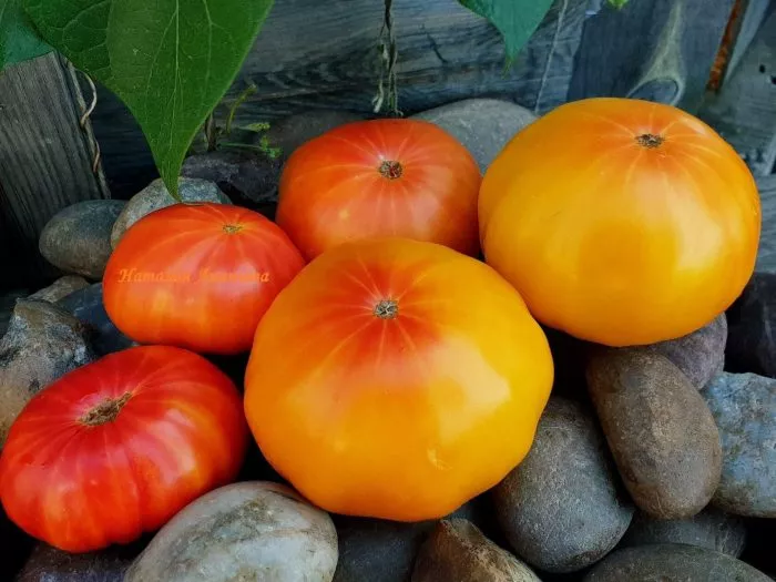 korol-ananas-8-142779