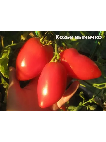 koze-vymechko-2-138169