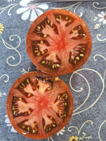 krasavitsa-kolledzha-10-161972