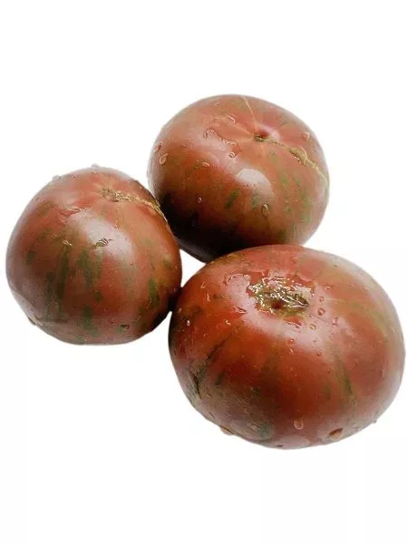 krasavitsa-kolledzha-2-161972