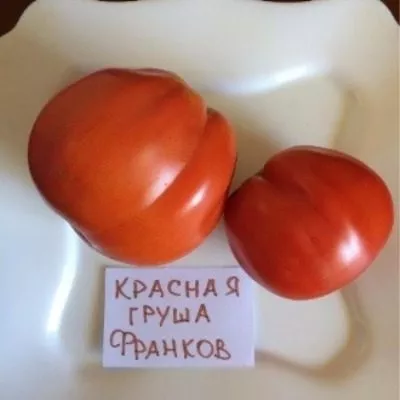 krasnaya-grusha-franchi-11-150373