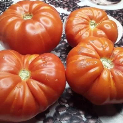 krasnaya-tykva-5-167148