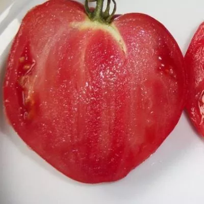 krasnyy-byk-4-134893