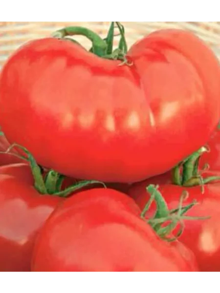 krasnyy-krupnyy-1-155395