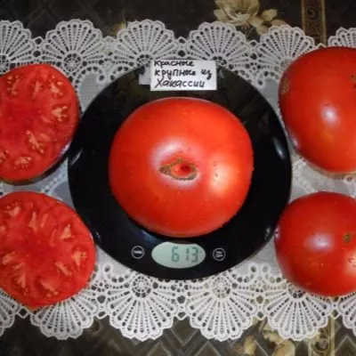 krasnyy-krupnyy-12-155395