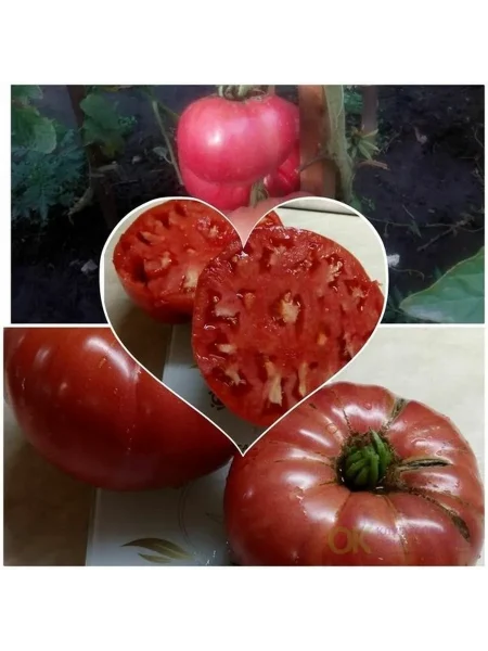 krasnyy-krupnyy-2-155395