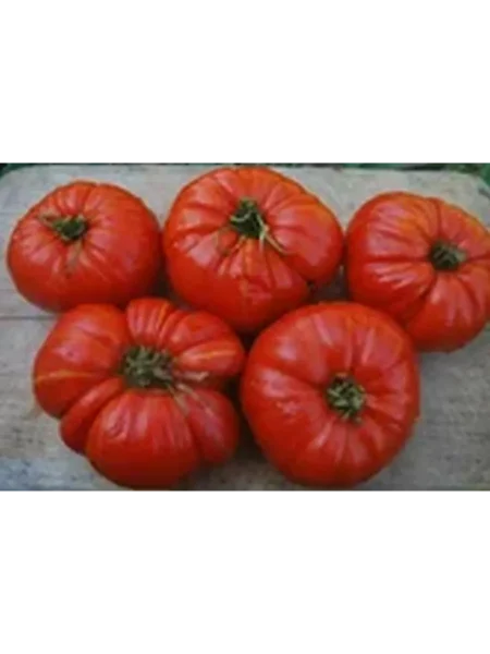 krasnyy-krupnyy-3-155395