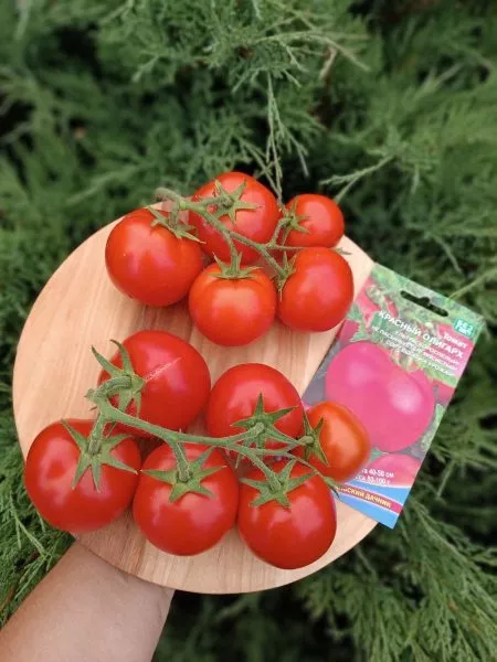 krasnyy-oligarh-4-158043