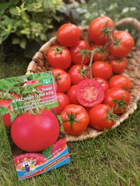 krasnyy-oligarh-main-158043