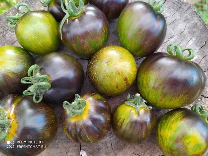 kriptonit-1-140201-1