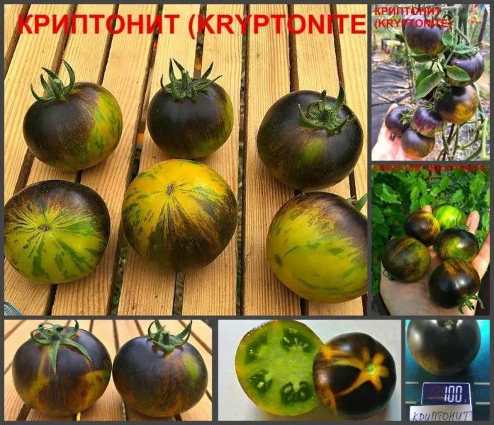 kriptonit-1-140201-2