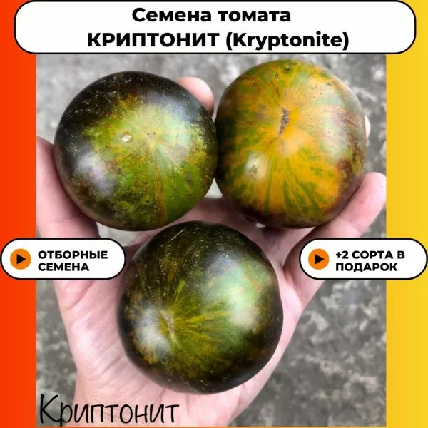 kriptonit-2-140201-3