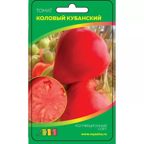 kubanskiy-kolovyy-1-139418