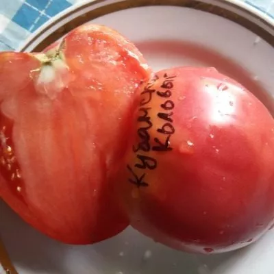 kubanskiy-kolovyy-8-139418