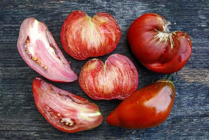 kubinskiy-pertsevidnyy-2-163765