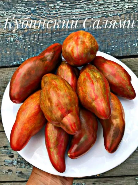 kubinskiy-salyami-3-164965