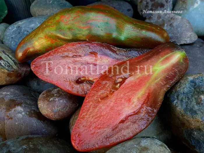 kubinskiy-salyami-5-164965