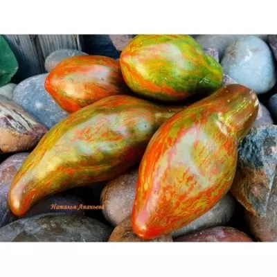 kubinskiy-salyami-8-164965