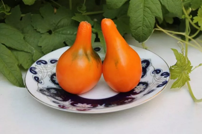 lampa-aladdina-2-132772