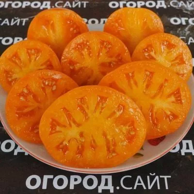 lampa-aladdina-5-132772