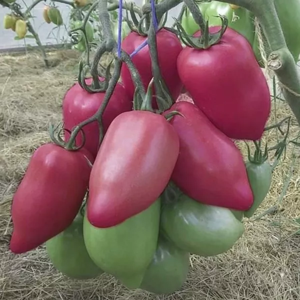 largo-de-hauha-2-142471