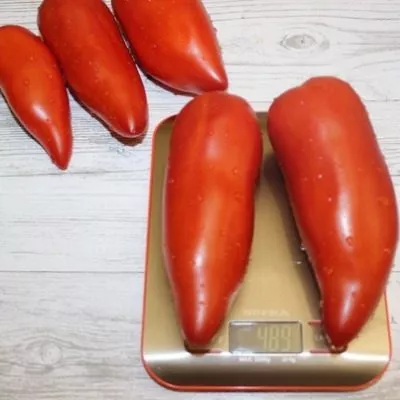 largo-de-hauha-6-142471