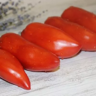 largo-de-hauha-8-142471