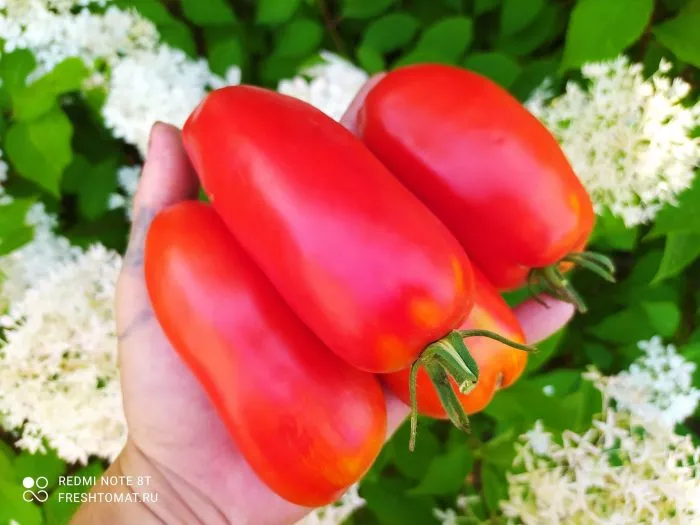 largo-de-hauha-main-142471