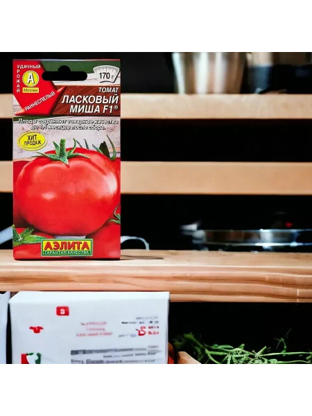 laskovyy-misha-2-142524