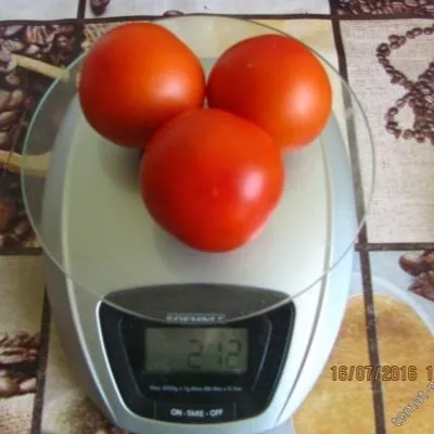 leningradskiy-skorospelyy-3-142949