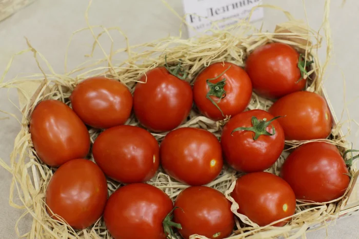 lezginka-main-162703