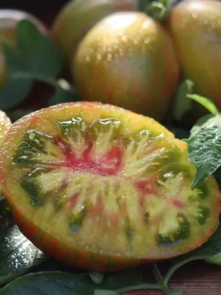 limonnye-polosy-cherroki-3-138272